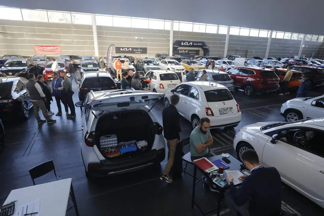 Móvete 2024. DAVID FREIRE4