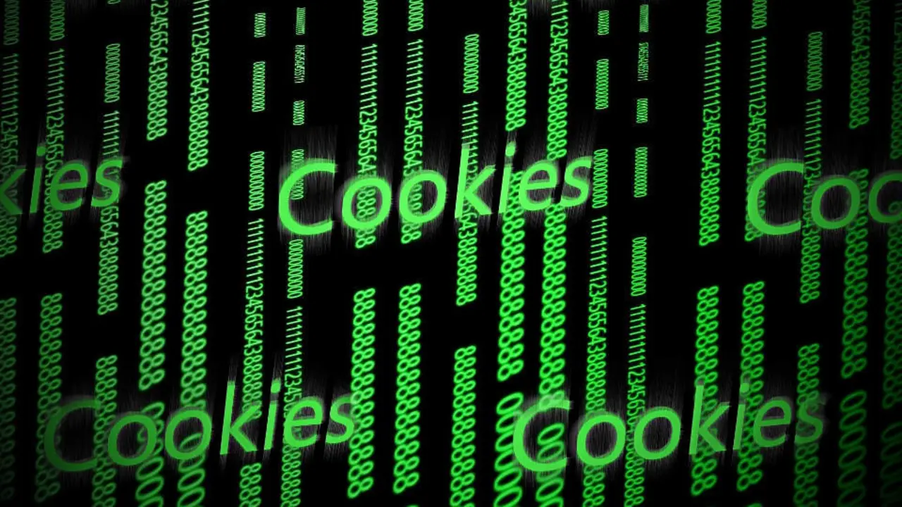 Cookies en la web. EP