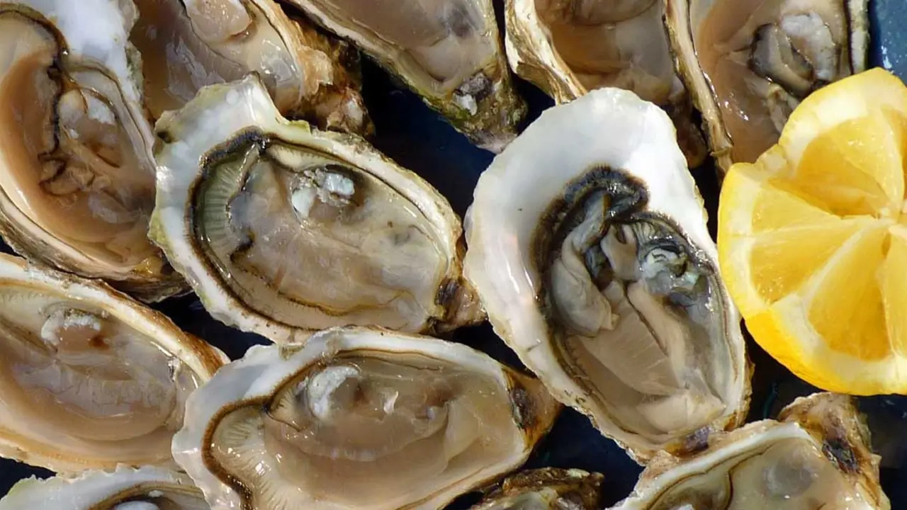  Foto de Ostras (Pixabay) 