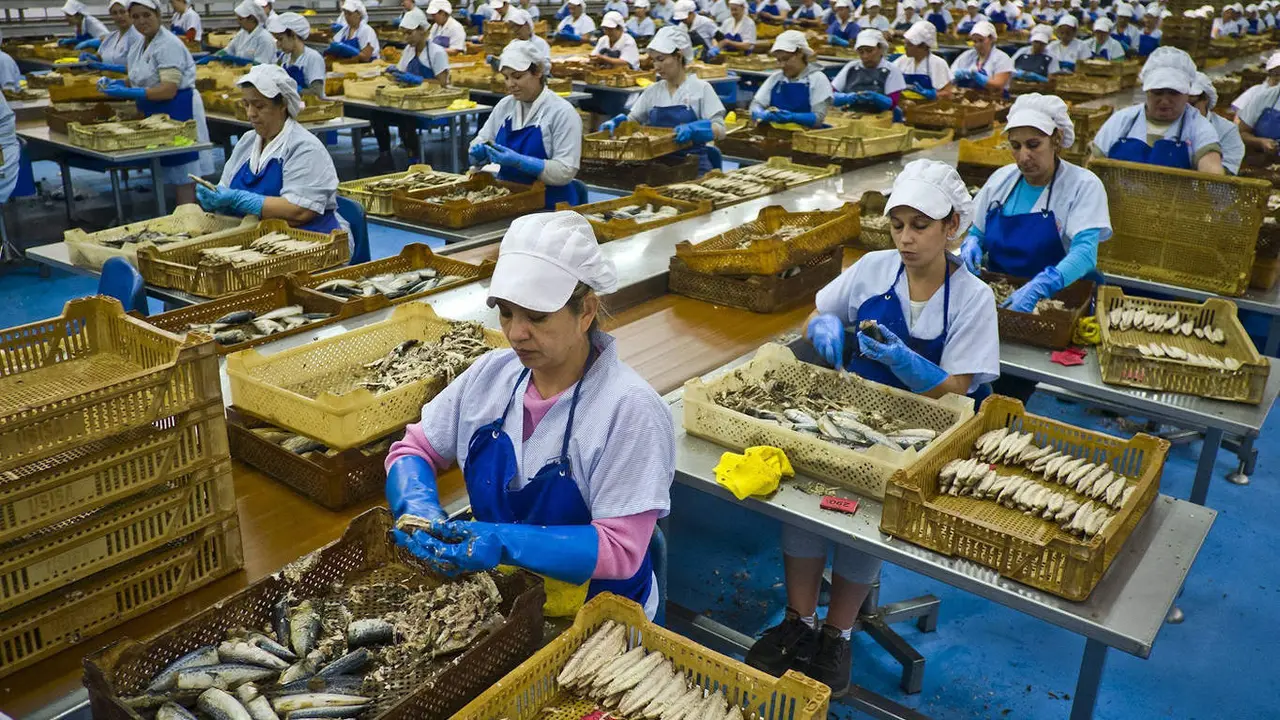 Trabajadoras en una empresa conservera. JULIÁN PÉREZ (EFE)