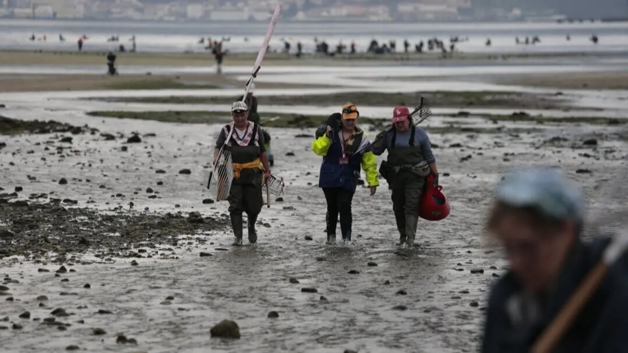 Una jornada de marisqueo en A Seca (Poio). GONZALO GARCÍA