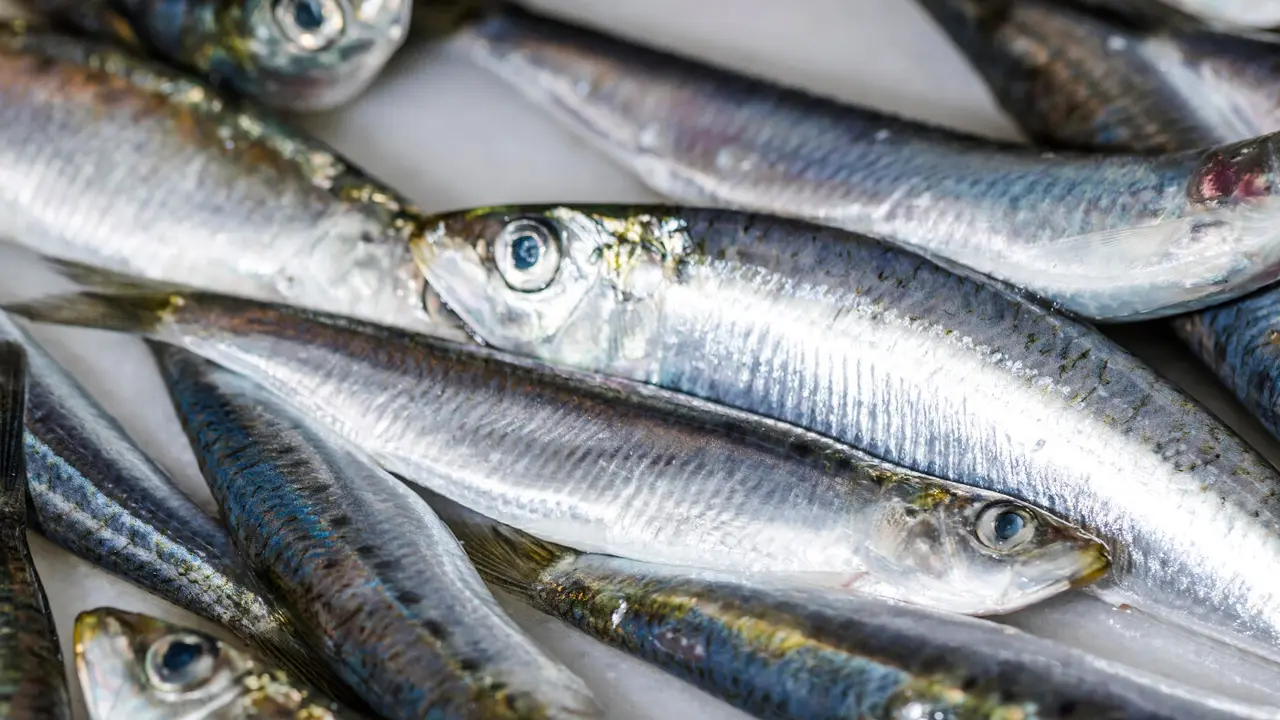 Xoubas frescas en hielo. FREEPIK