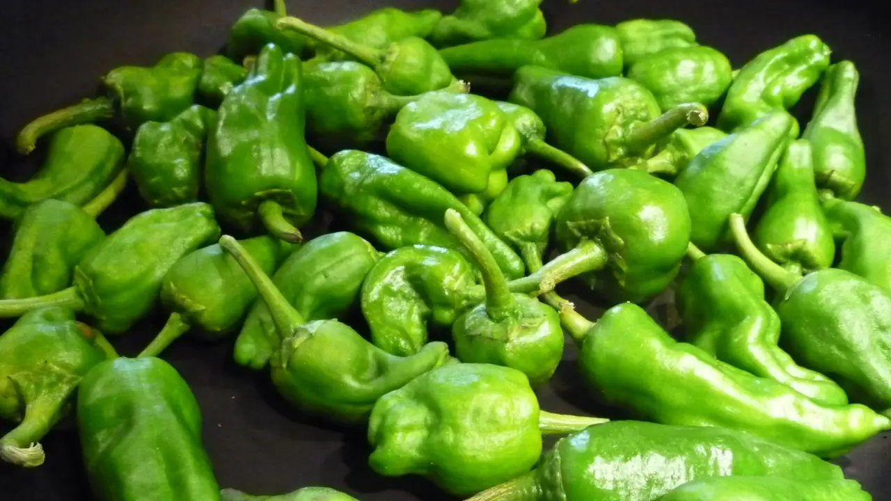 Pimientos de Padrón. DP