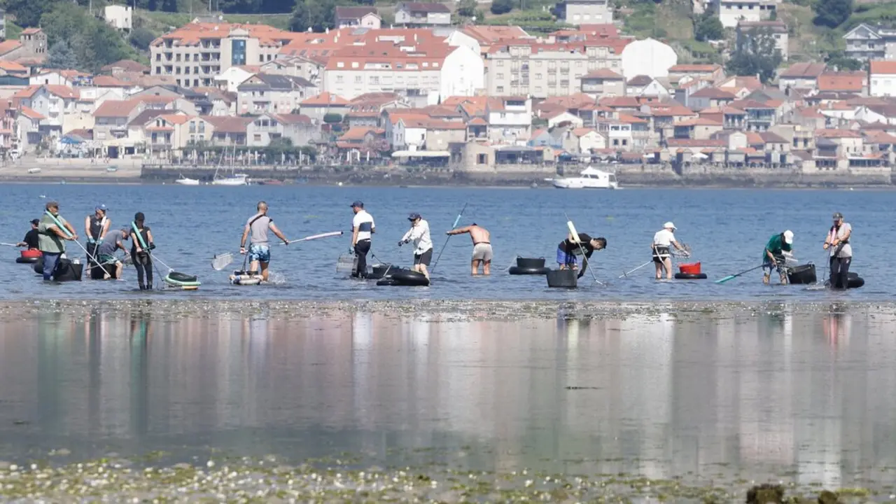 Marisqueo en O Ameixal. GONZALO GARCÍA