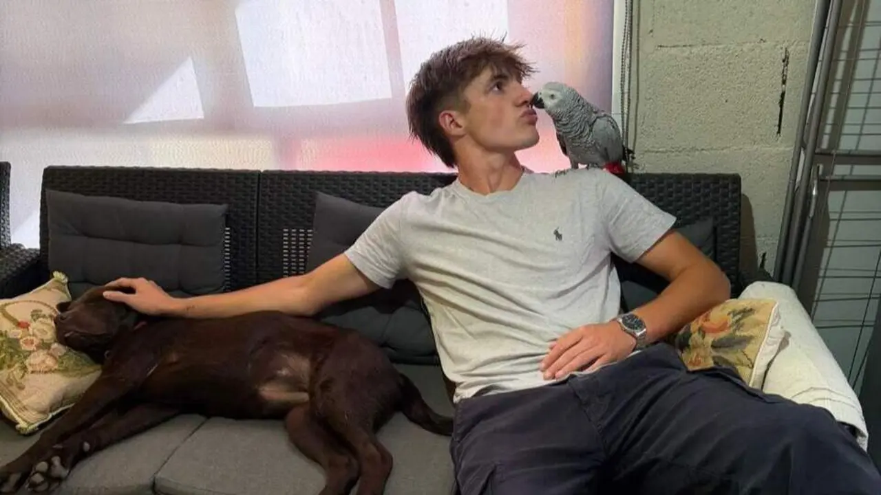 La lora Lola de vuelta con su dueño en la vivienda de Marcón donde reside. DP