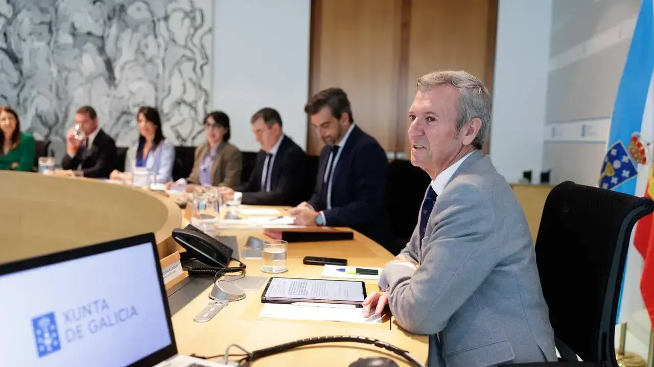 El presidente, Alfonso Rueda, en la reunión extraordinaria del Consello. DAVID CABEZÓN