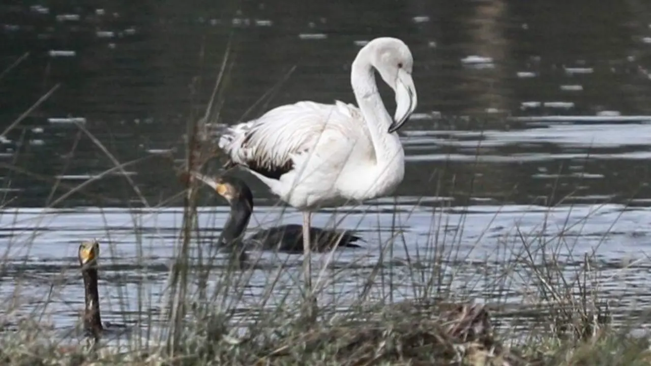 20251023_Dfreire_076