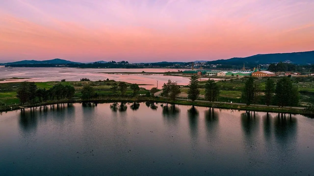 Ruta das Telleiras e Lagoas. MANCOMUNIDADE DE O SALNÉS