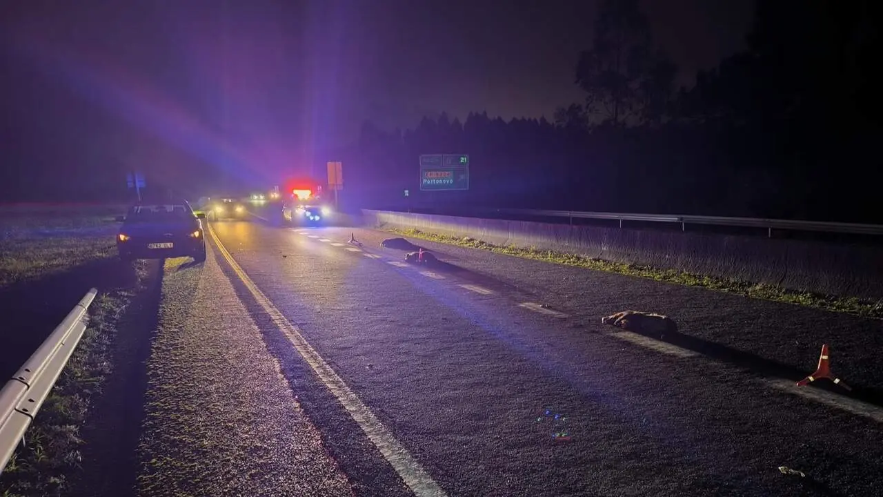 El lugar del siniestro, en la vía rápida que une Sanxenxo con O Grove. DP