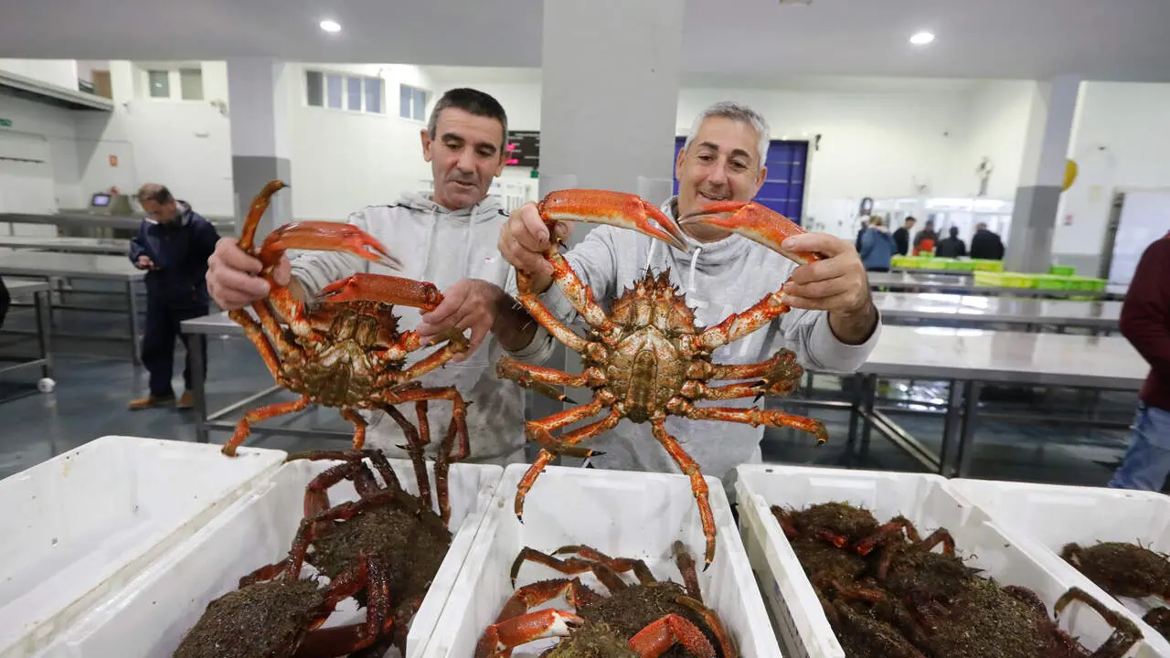 Primera jornada de la campaña de captura del centollo en O Grove. JOSÉ LUIZ OUBIÑA