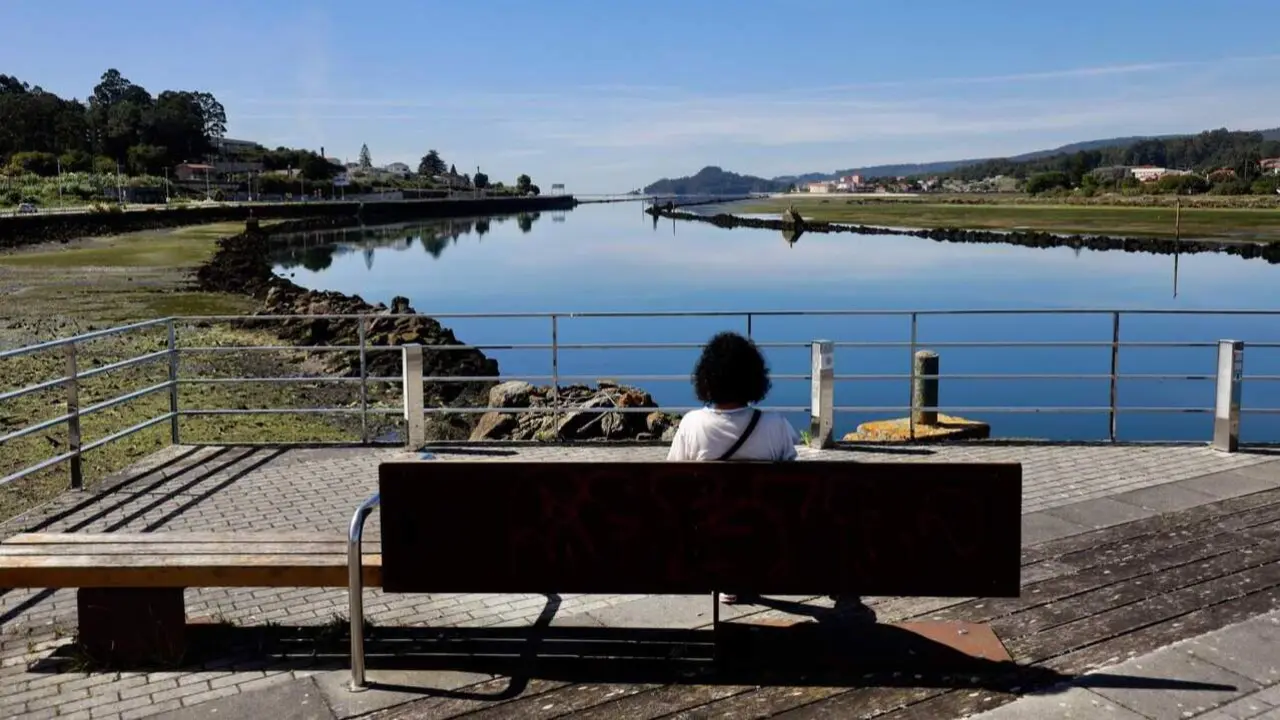 Las especies invasoras están afectando a la capacidad extractiva de la ría. DAVID FREIRE