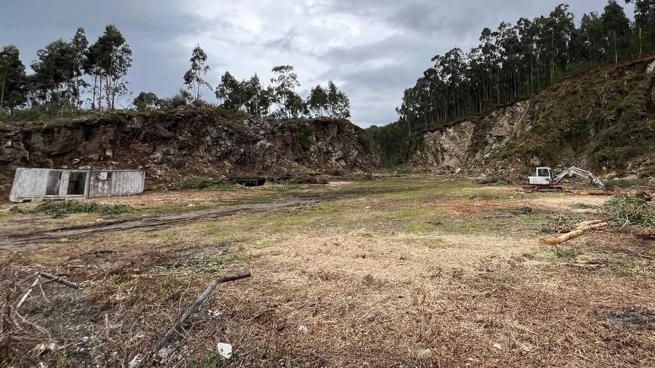 Estado actual del terreno de la cantera de Pardavila. DP