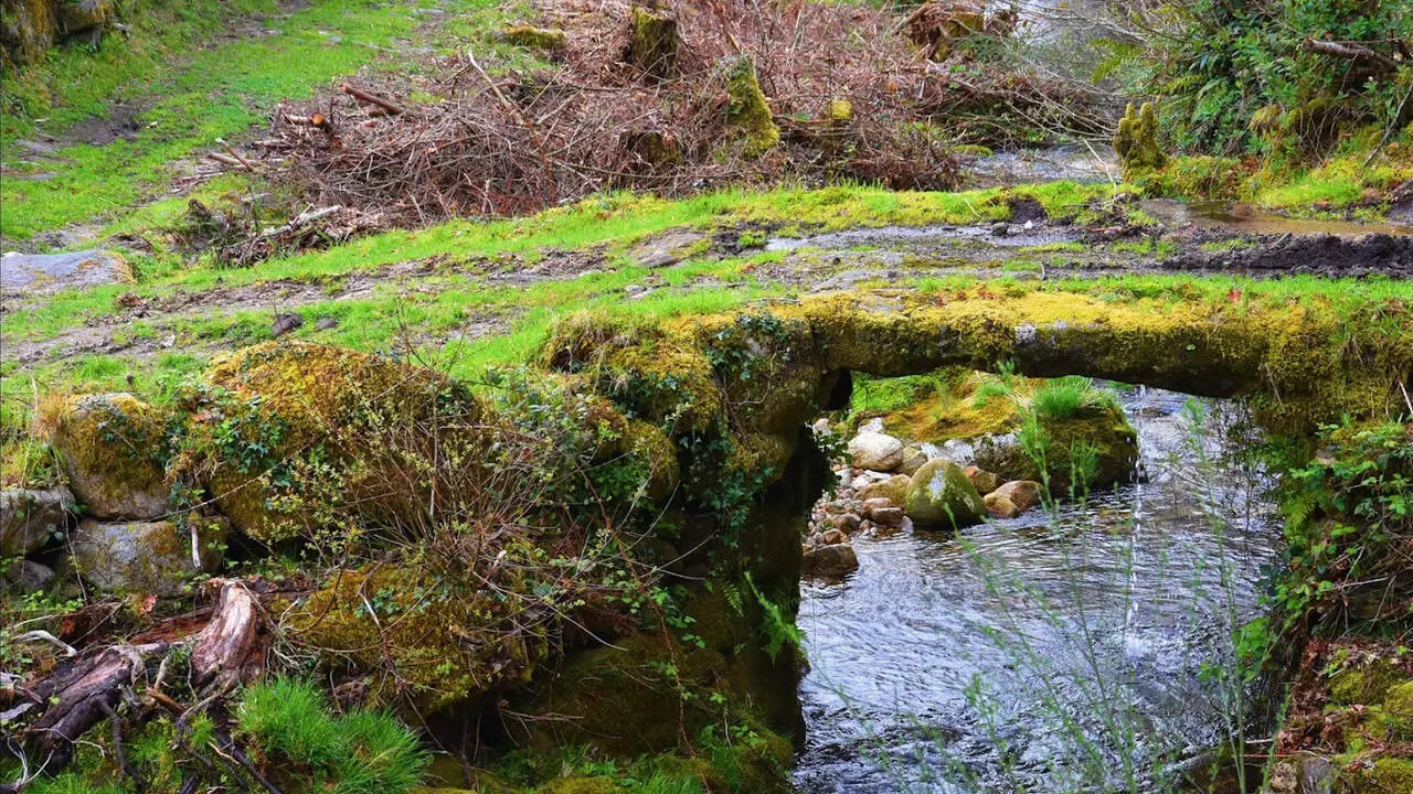 O Reconco. XOÁN ARCO DA VELLA