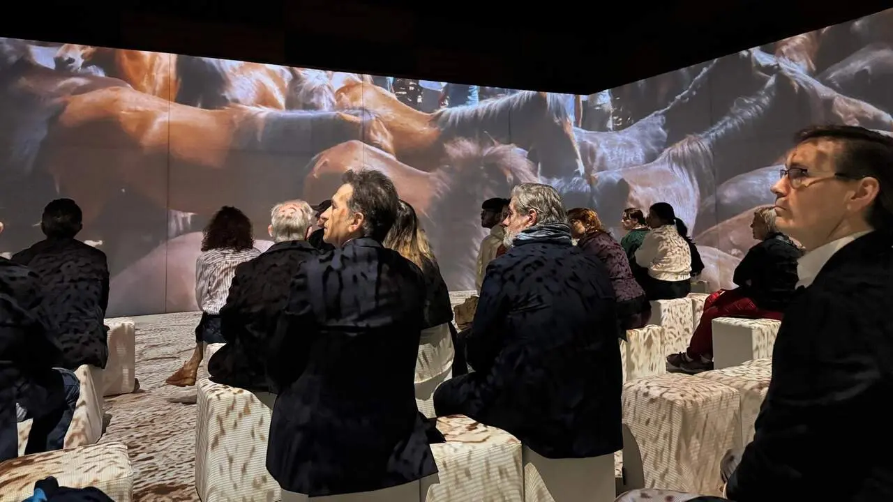 sevillafillosdovento (7)