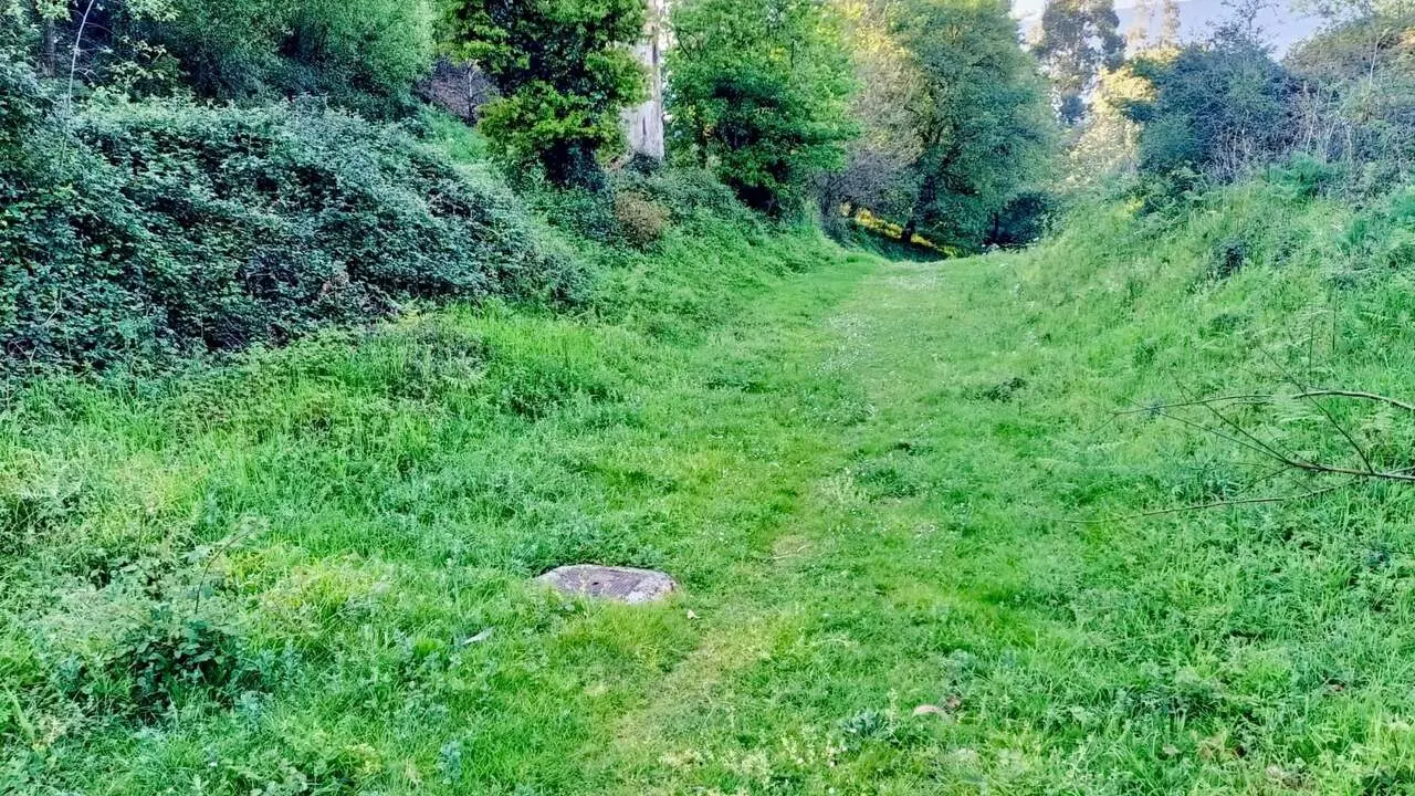 Tramo del camino municipal de A Grela. DP