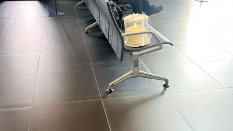 A torta viaxeira. A.M.U.